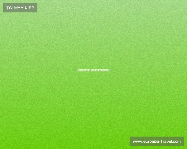 米兰寻佳夫替代者 莱昂尼与科穆佐成核心人选 米兰寻佳夫替代者 莱昂尼与科穆佐成核心人选