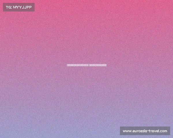 乌迪内斯与维特塞尔展开深度谈判 持续接触或迎来新转会动态 乌迪内斯与维特塞尔展开深度谈判 持续接触或迎来新转会动态