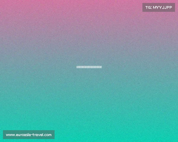 德甲前腰核心球员分析与发展趋势探讨 德甲前腰核心球员分析与发展趋势探讨