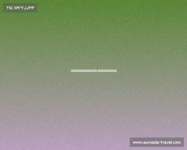 德天空:桑德兰与狼队有意引进瑞尔森 球员渴望加盟英超实现梦想 德天空:桑德兰与狼队有意引进瑞尔森 球员渴望加盟英超实现梦想