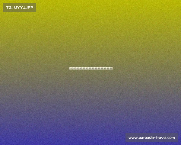 莱昂纳多：每个人为了共同目标而努力，团队默契得到了显著提升