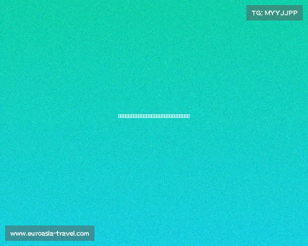 弗兰克：从领导力角度分析孙兴慜的独特作用与球队不可替代性