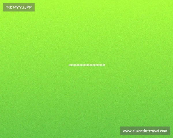 巴萨官方宣布奥尔莫因肌肉超负荷缺席今日训练团队合练