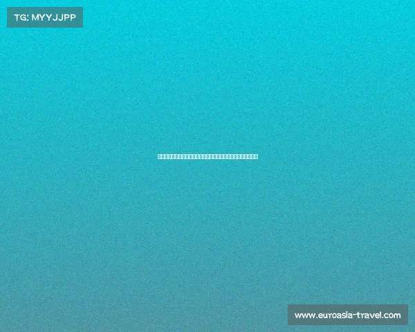 德甲联赛技战术分析与发展趋势探讨：从战术体系到球员角色演变