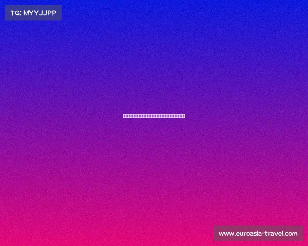 法甲球员数据分析与排名揭示赛季表现亮点与发展趋势