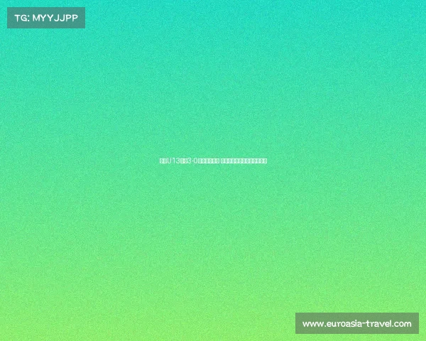 浙江U13队以3-0战胜重庆一中 完美展现团队协作与竞技实力