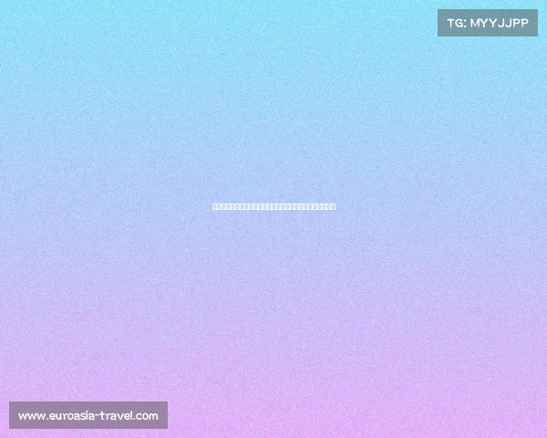 罗马诺：诺丁汉森林与维罗纳就查舒亚转会事宜进行初步洽谈