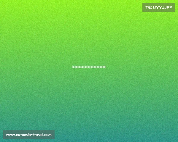 英超球迷文化探秘：激情、传统与现代化的完美融合